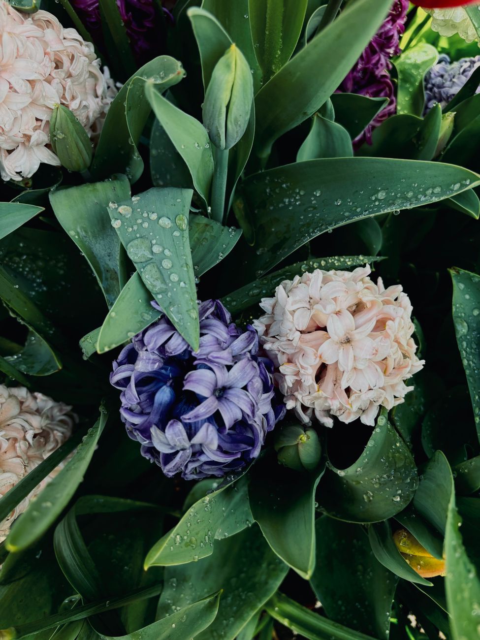 About Misk